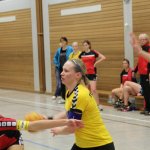 2016_01_23 Landesliga Frauen